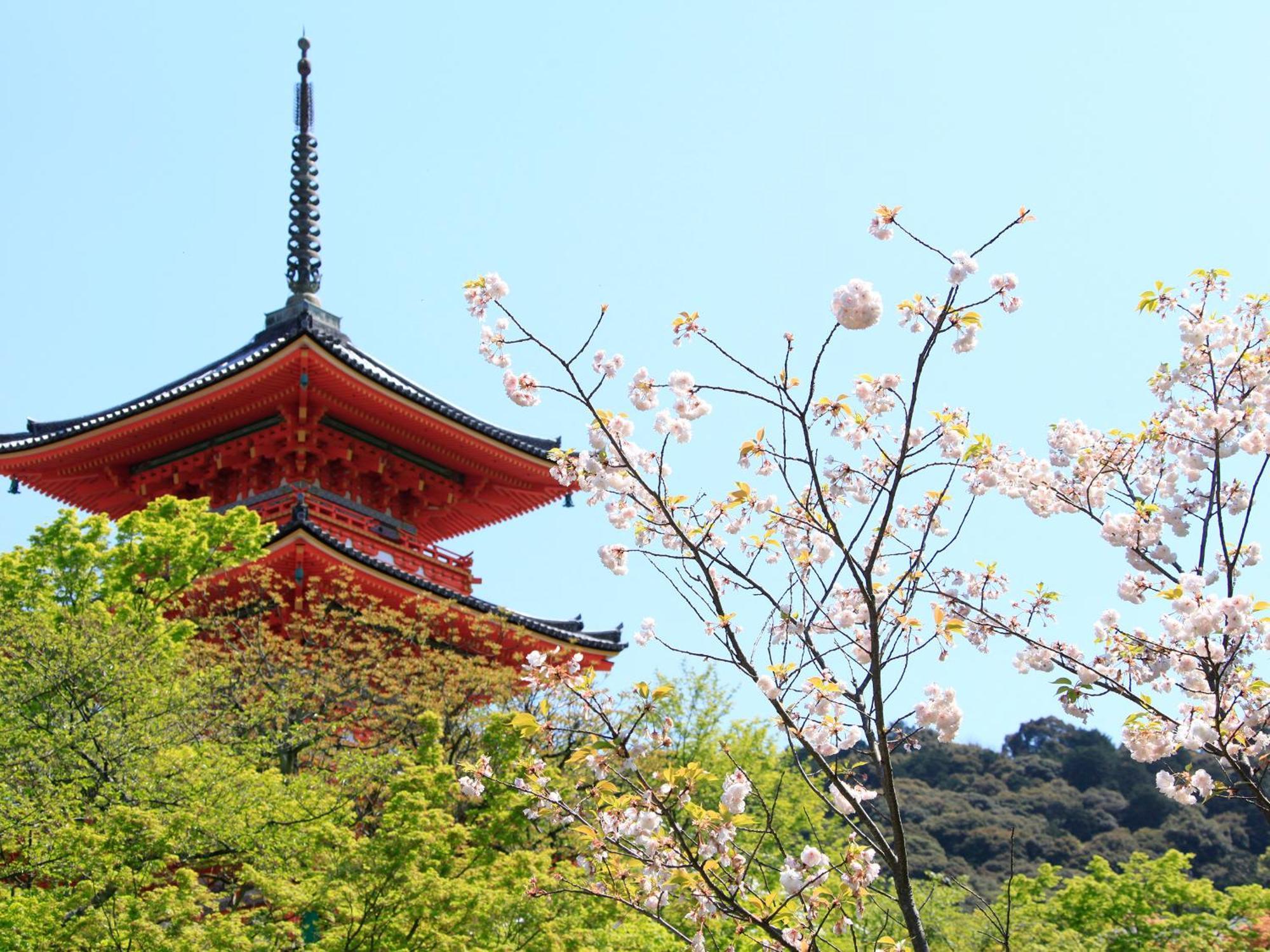 Vessel Hotel Campana Kyoto Gojo Eksteriør billede